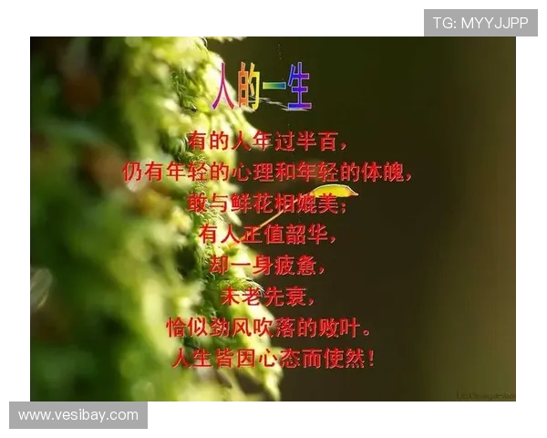 老马与姚明的传奇相遇探讨篮球与人生的深刻哲理